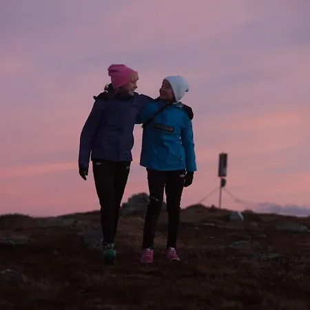 Appartement Flott Fritidsleilighet I Bualie Pa Golsfjellet