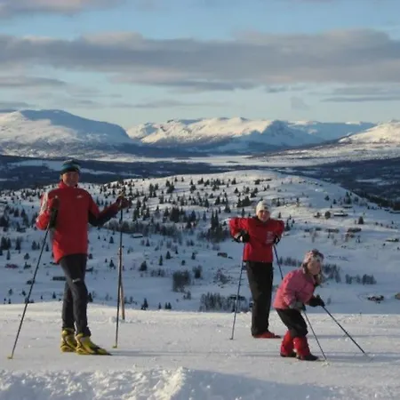 Flott Fritidsleilighet I Bualie Pa Golsfjellet *