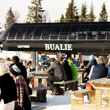 Flott Fritidsleilighet I Bualie Pa Golsfjellet *