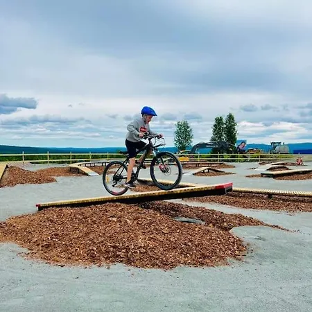 Flott Fritidsleilighet I Bualie Pa Golsfjellet Appartement