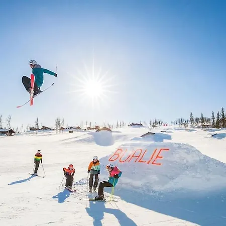 Appartement Flott Fritidsleilighet I Bualie Pa Golsfjellet Gol