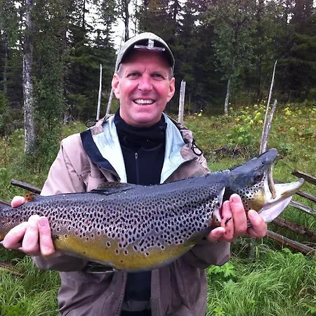 Appartement Flott Fritidsleilighet I Bualie Pa Golsfjellet *