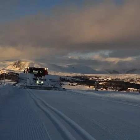 Appartement Flott Fritidsleilighet I Bualie Pa Golsfjellet