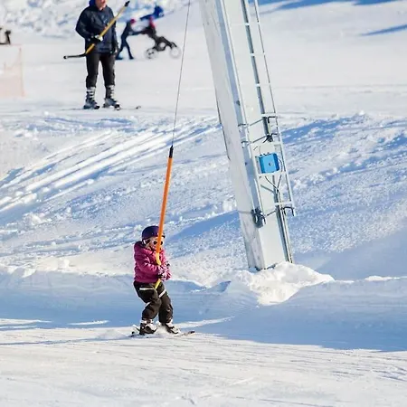 Flott Fritidsleilighet I Bualie Pa Golsfjellet