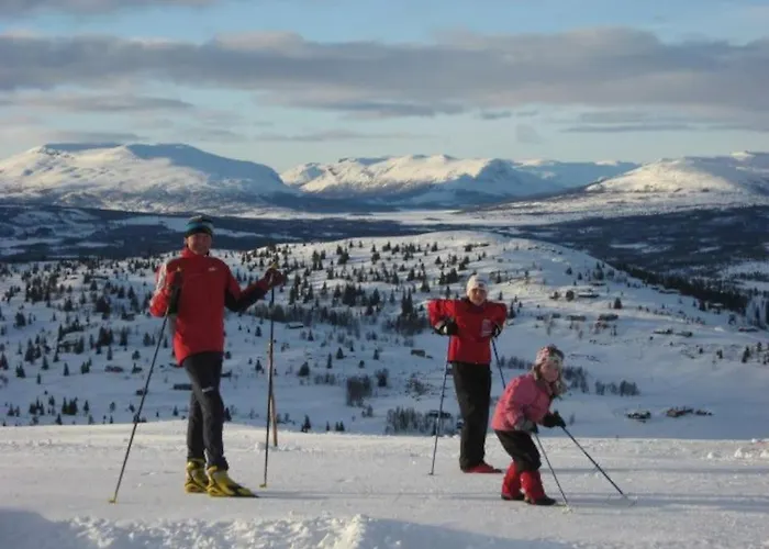 Flott Fritidsleilighet I Bualie Pa Golsfjellet *
