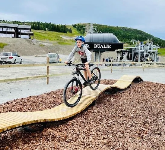 Apartamento Flott Fritidsleilighet I Bualie Pa Golsfjellet *