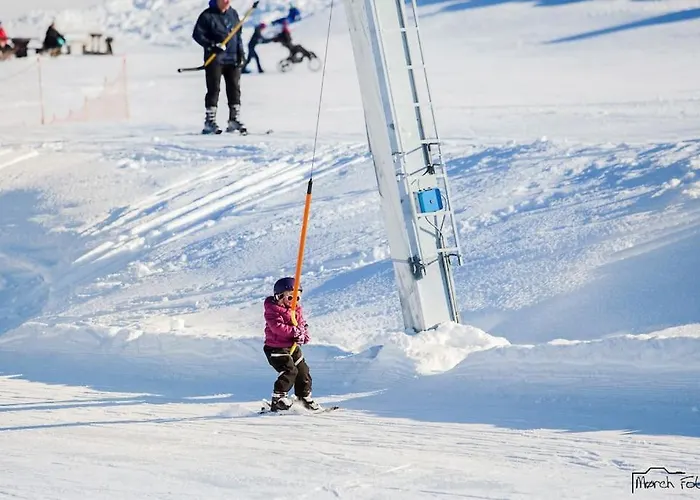 Flott Fritidsleilighet I Bualie Pa Golsfjellet